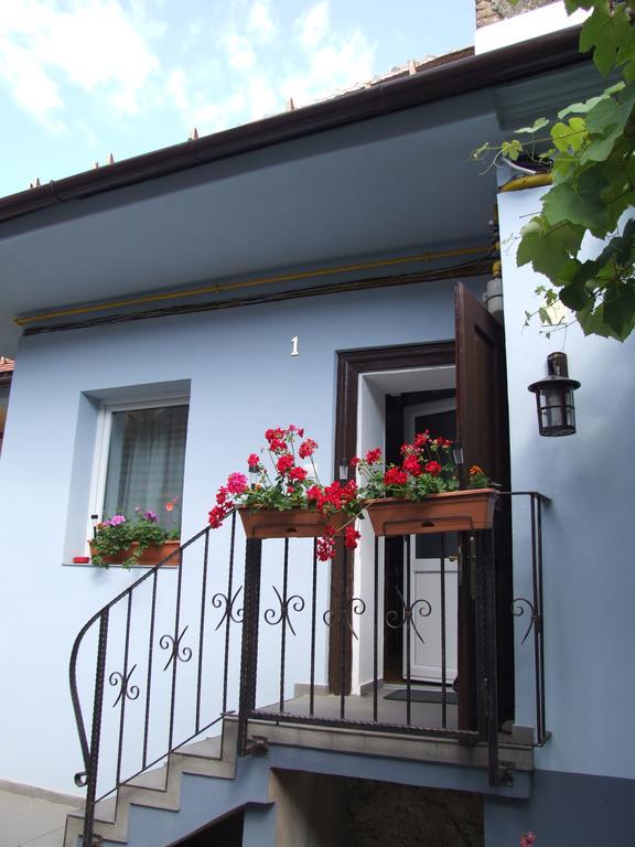 Blue House Hotel Brassó Kültér fotó